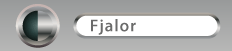 fjalor perkthimi ne gjuhe te Ndryshme